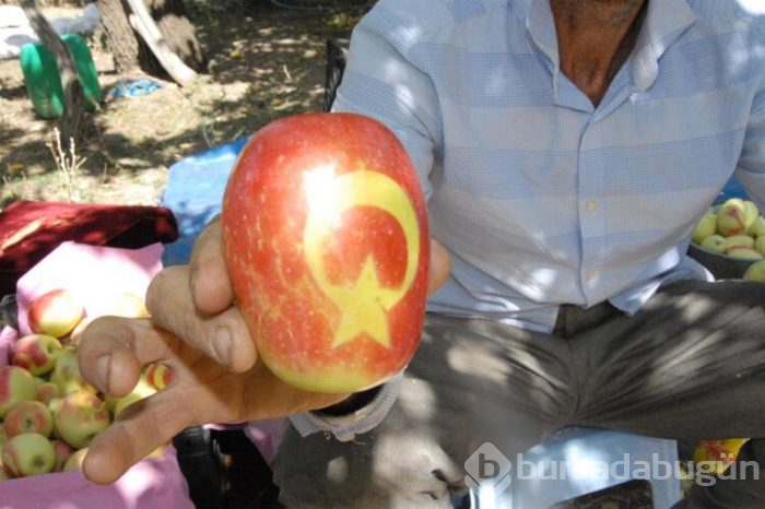 Uzun elma satışa sunuldu