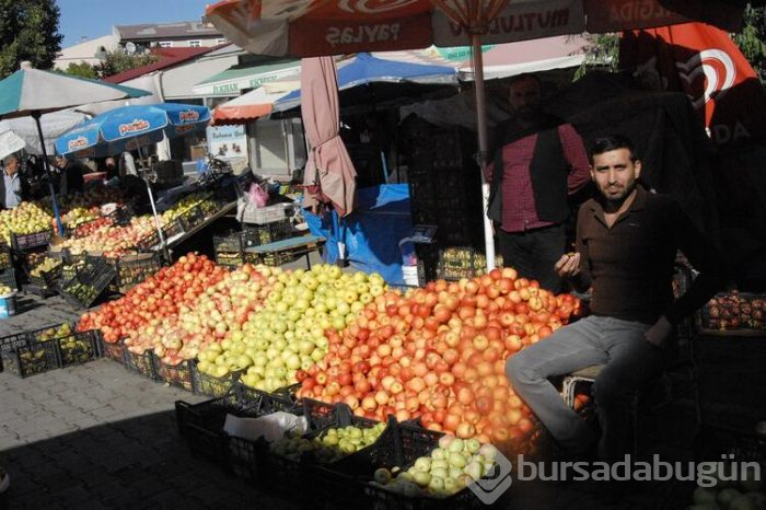Uzun elma satışa sunuldu