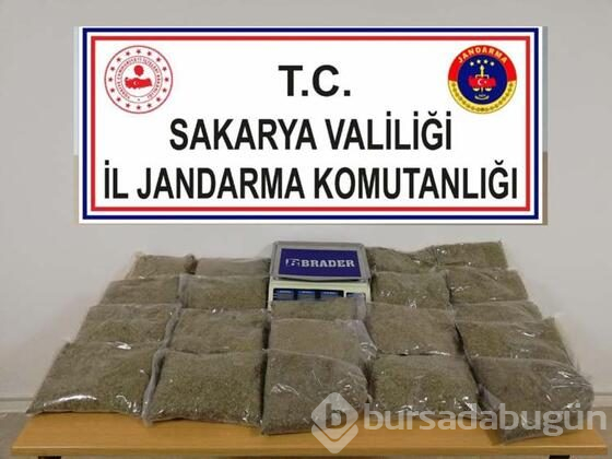 Tabuttan çıkana inanılamadı!