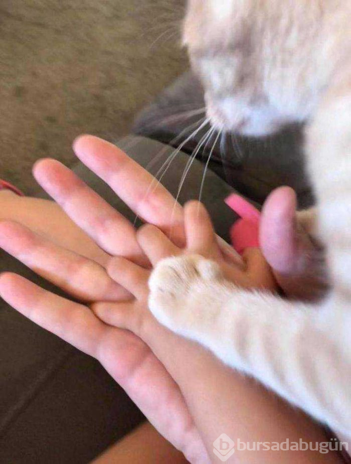 Günün en çok paylaşılan fotoğrafları