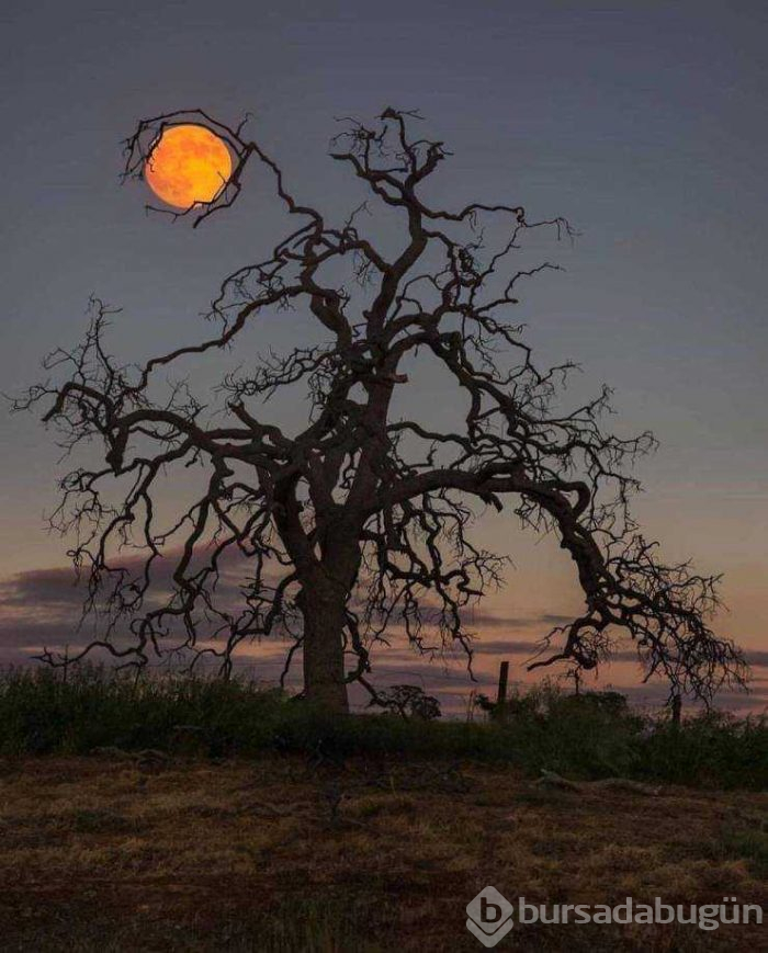 Günün en çok paylaşılan fotoğrafları