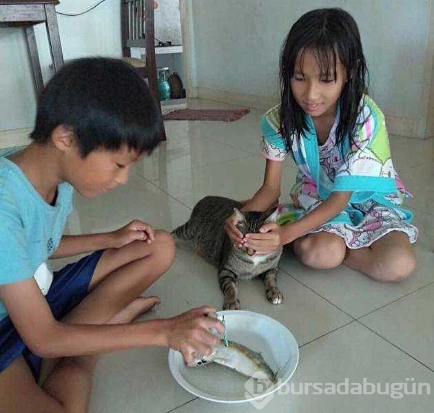 Günün en çok paylaşılan fotoğrafları