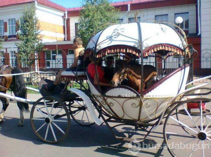 Günün en çok paylaşılan fotoğrafları