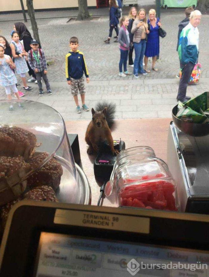 Günün en çok paylaşılan fotoğrafları