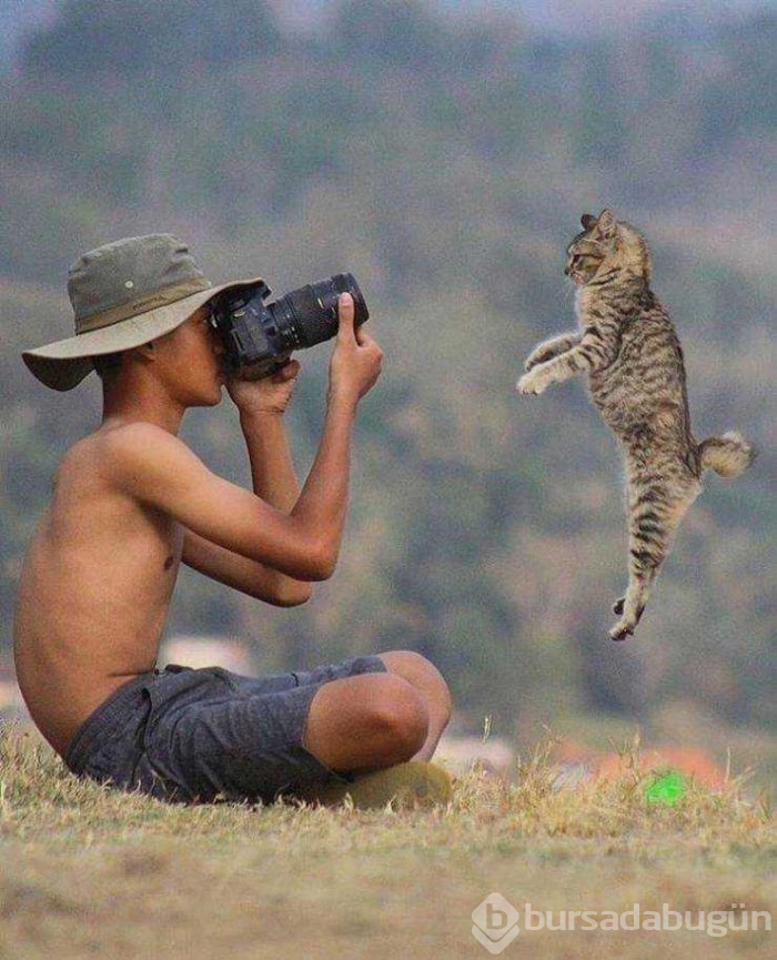 Günün en çok paylaşılan fotoğrafları