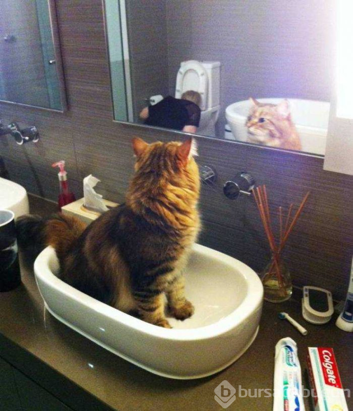 Günün en çok paylaşılan fotoğrafları