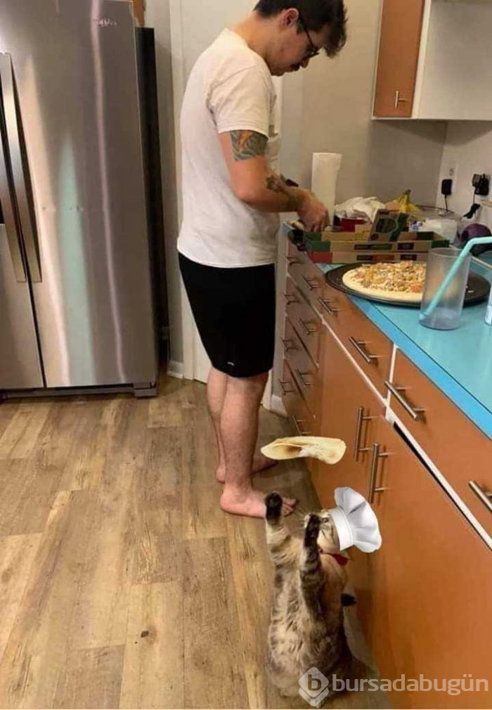Günün en çok paylaşılan fotoğrafları
