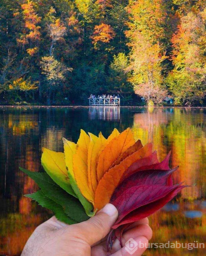 Günün en çok paylaşılan fotoğrafları