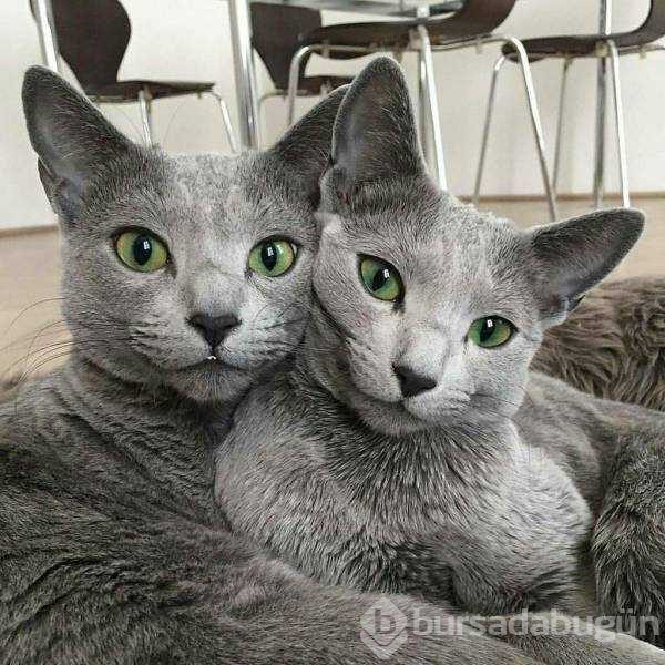 Günün en çok paylaşılan fotoğrafları
