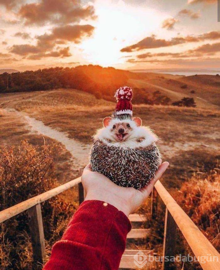 Günün en çok paylaşılan fotoğrafları