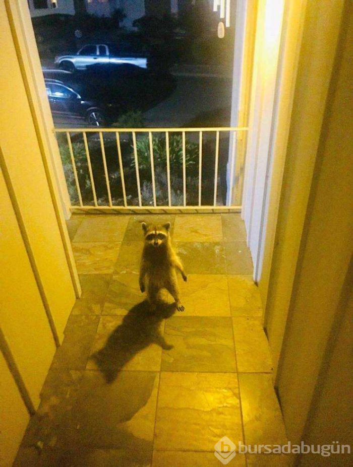 Günün en çok paylaşılan fotoğrafları