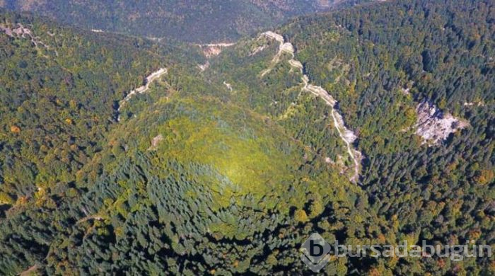 Batı Karadeniz sarı ve kahverengiye büründü