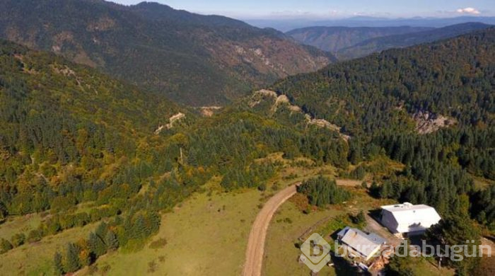 Batı Karadeniz sarı ve kahverengiye büründü