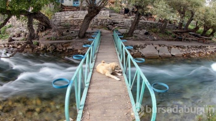 Munzur Gözeleri turistlerin gözdesi haline geldi