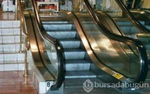 Dünyanın en tembel insanları