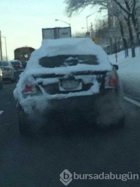 Dünyanın en tembel insanları