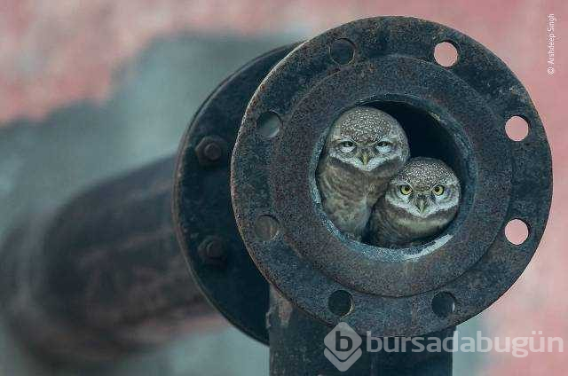 Günün en çok paylaşılan fotoğrafları