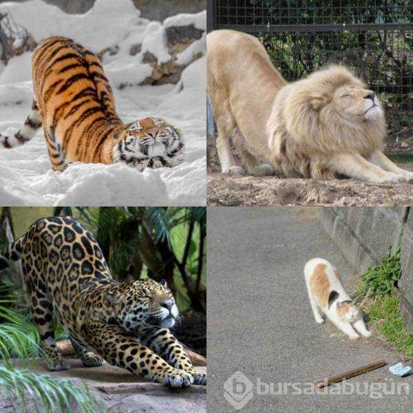 Günün en çok paylaşılan fotoğrafları