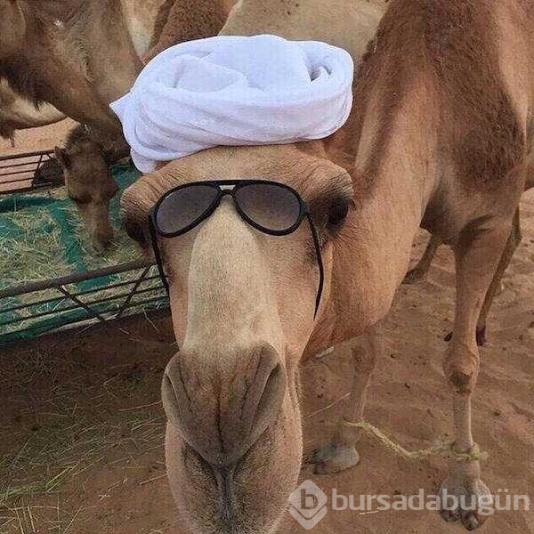 Günün en çok paylaşılan fotoğrafları