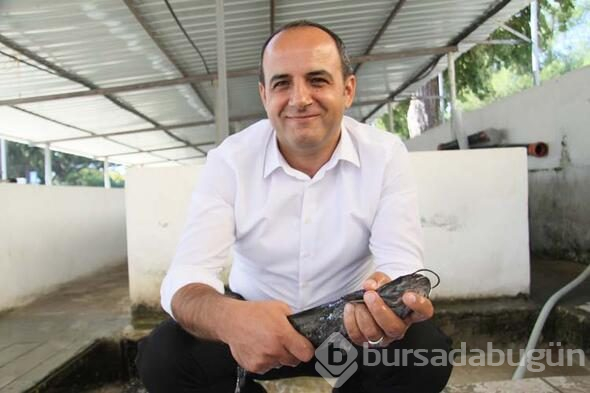 20 bin balık kaynağa bırakılacak
