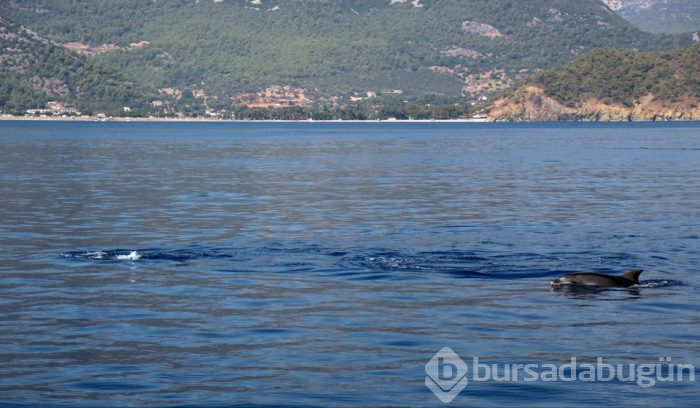 Suluada, yerli ve yabancı tatilcilerden yoğun ilgi görüyor