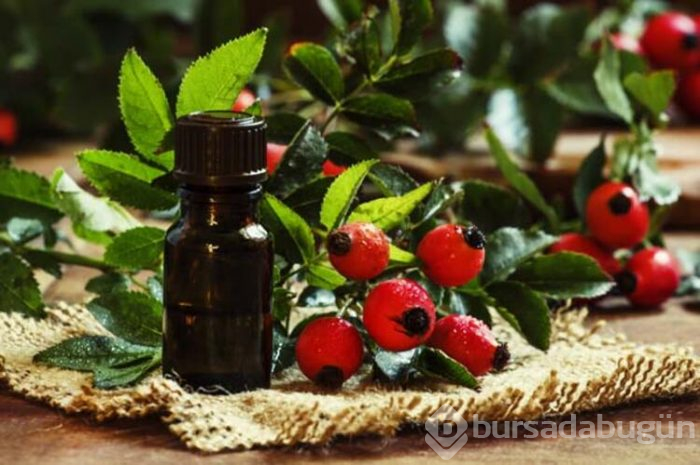Cilt çatlaklarını gidermenin doğal yolları 