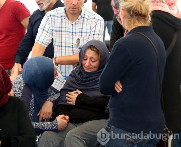 En acı tesadüf durağa çarpması sonucu hayatını kaybetti!