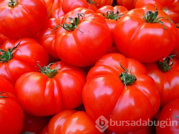 Buzdolabına konulmaması gereken yiyecekler