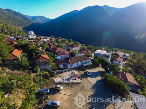 Balık pulu hastalığıyla boğuşuyor!