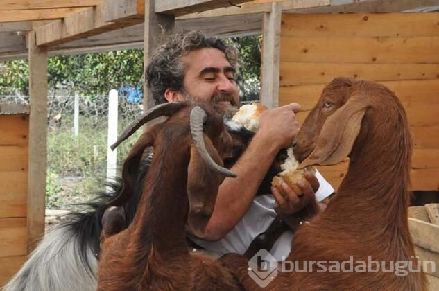 İki üniversite bitiren mandıra filozofu!
