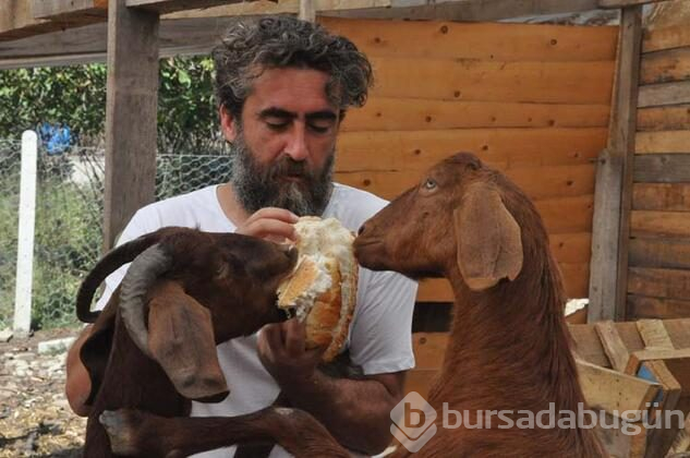 İki üniversite bitiren mandıra filozofu!