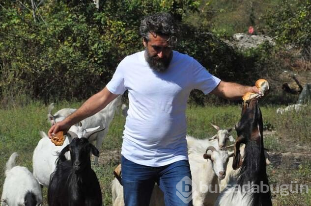 İki üniversite bitiren mandıra filozofu!