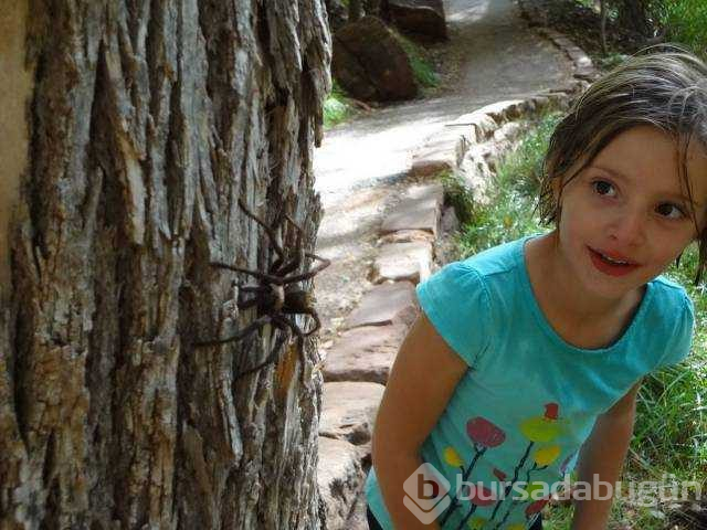 Günün en çok paylaşılan fotoğrafları