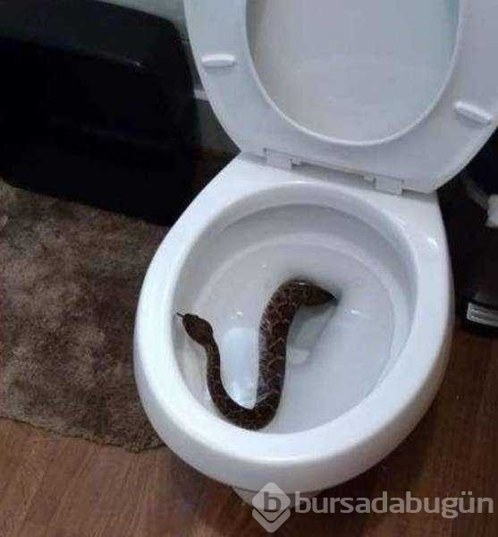 Günün en çok paylaşılan fotoğrafları
