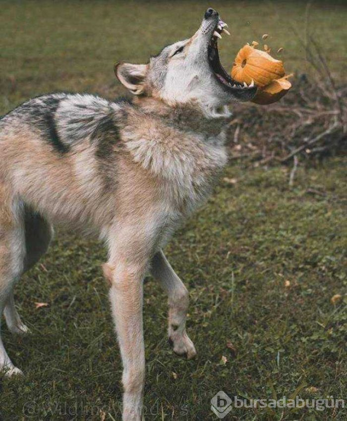 Günün en çok paylaşılan fotoğrafları