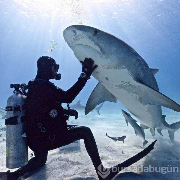 Günün en çok paylaşılan fotoğrafları