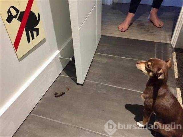 Günün en çok paylaşılan fotoğrafları