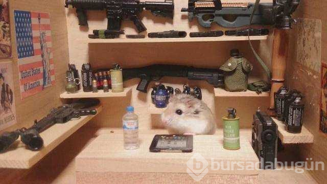 Günün en çok paylaşılan fotoğrafları