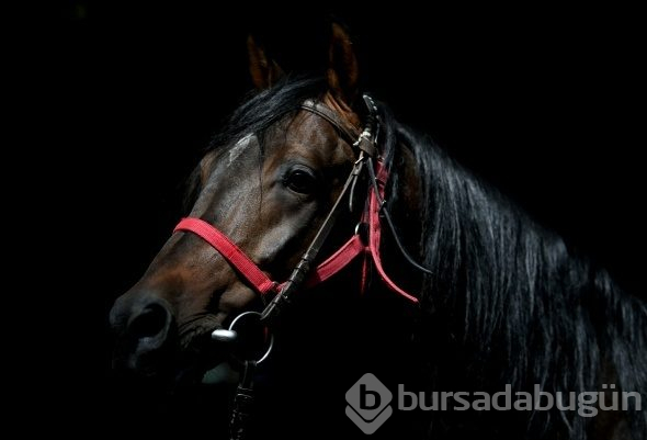 Efsane babaların efsane oğulları