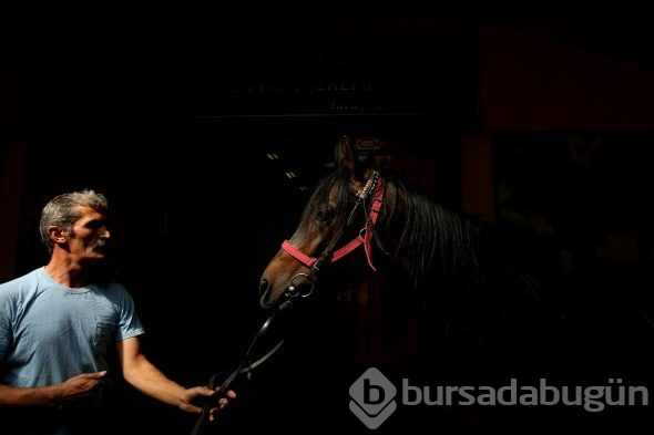 Efsane babaların efsane oğulları