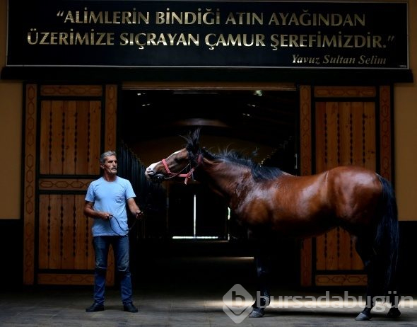 Efsane babaların efsane oğulları