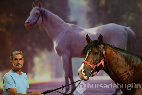 Efsane babaların efsane oğulları