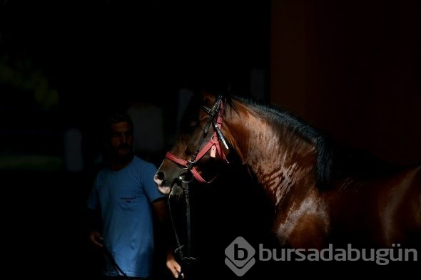 Efsane babaların efsane oğulları