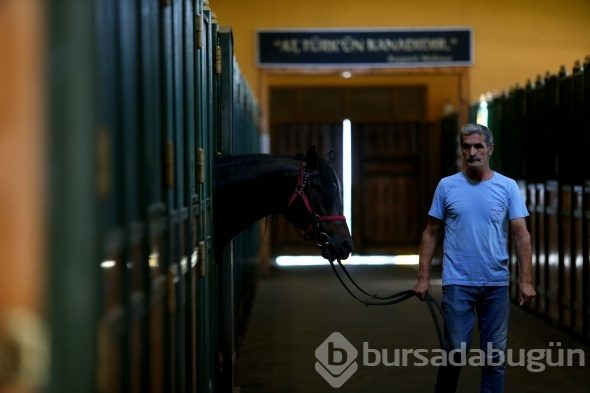 Efsane babaların efsane oğulları