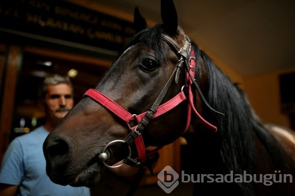 Efsane babaların efsane oğulları