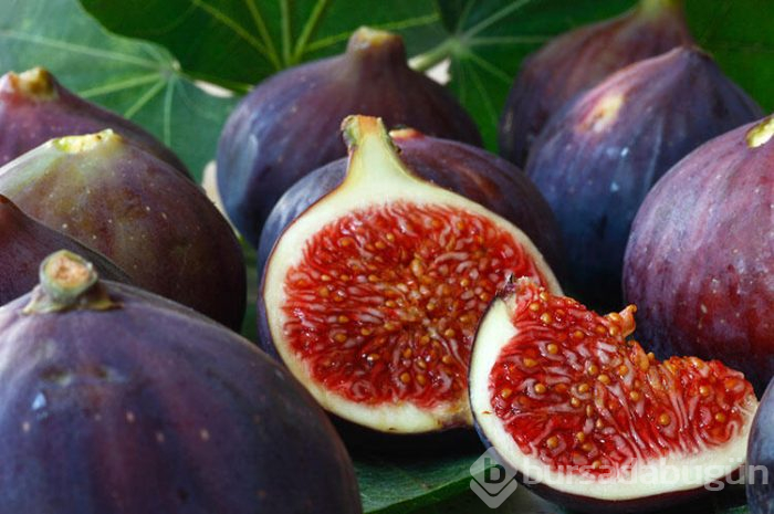 Ekimde hangi sebzeler ve meyveler yenir?