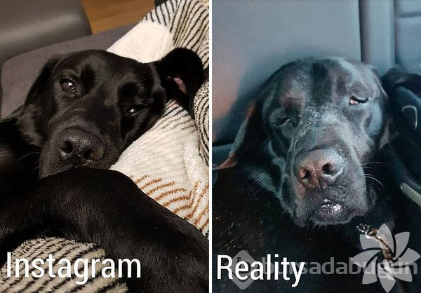 Çok beğendiğiniz Instagram fotoğraflarının kamera arkası
