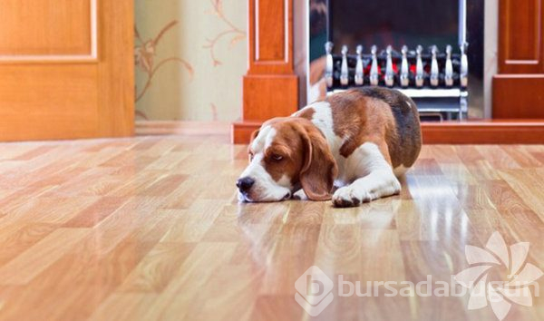 Enerji bedenini bozan unsurları biliyor musunuz?