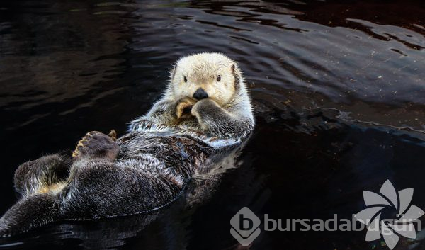 Dünya ile ilgili birbirinden ilginç bilgiler!