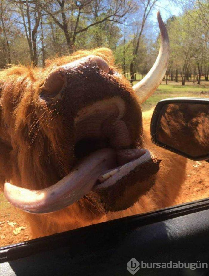 Günün en çok paylaşılan fotoğrafları